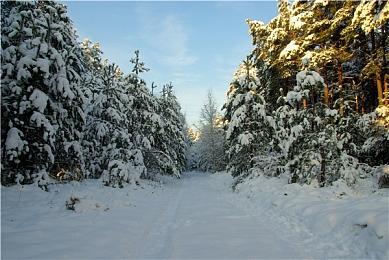 黑曜石《Grounded》最新更新 增加派系反应和虫群入侵